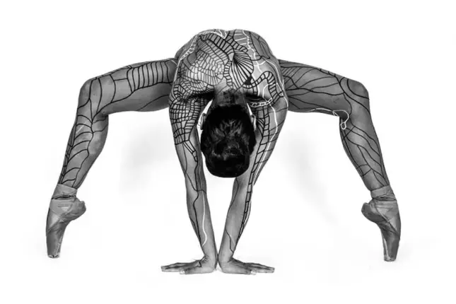 Melody Hesaraky’nin “In Transit” Adlı Türkiye’deki İlk Kişisel Sergisi Decollage Art Space’te Açılıyor