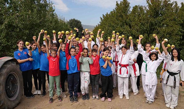 “Bizim Elimiz Sadece Armut Toplamaya Kalkar”