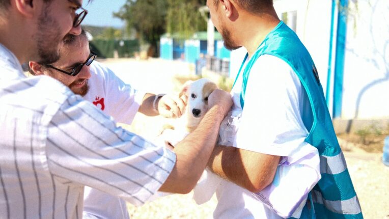 10 patili dostun sahiplenilmesine aracılık ettiler!