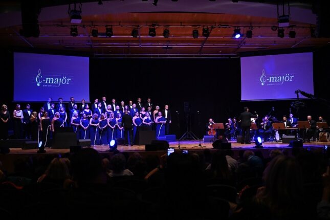 Tohum Otizm Vakfı ve C-Majör Korosu’ndan  Anlamlı Konser