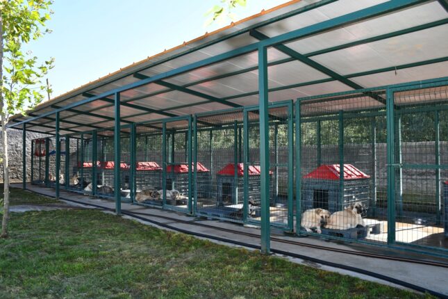 İZNİK BELEDİYESİ’NDEN SOKAK HAYVANLARINA TAM TEŞEKKÜLLÜ MERKEZ