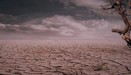 CHP BURSA MİLLETVEKİLİ SARIBAL : KADIN OLMAZSA BU TOPRAKLAR SAHİPSİZ KALIR!