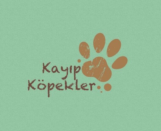 Kütahya Tavşanlı’da Hayvan Hırsızlığı Tavan mı Yaptı!