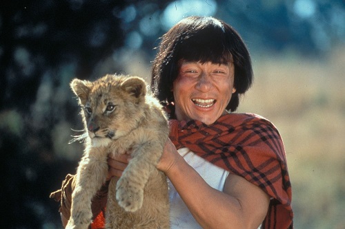 Afrika Kaplanı  (Who Am I?)