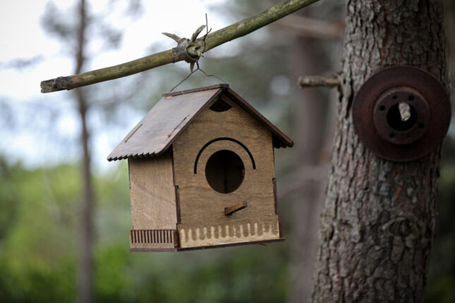 Kuş Evleri Projesi’ne Minik Yürekten Dev Destek!
