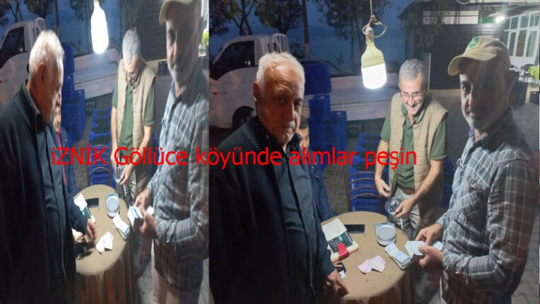 İLİM ZEYTİNCİLİK GÖLLÜCEDE ALIM YAPIYOR
