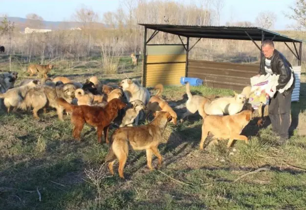 DEMİRAT; Toplu Katliamları Durdurun ve Gönüllülere Destek Verin