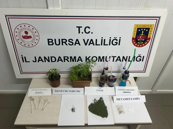 Jandarmadan Yasadışı Kenevir Ekimine Operasyon