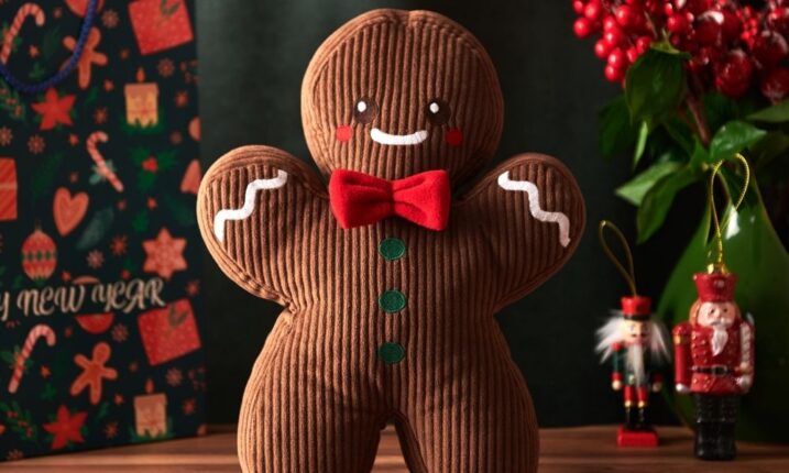 Yeni yılda sizi mutlu edecek her şey  ‘‘tek çatı altında’’ Evidea’da!