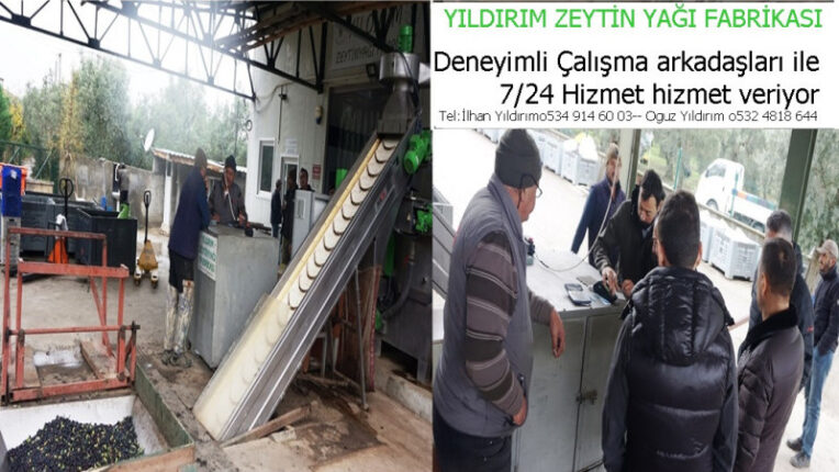 YILDIRIM ZEYTİNYAĞI FABRİKASI HİZMETLERE DEVAM EDİYOR