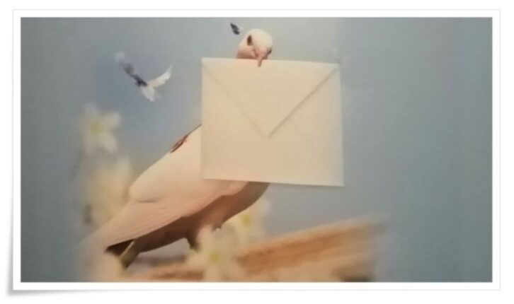 “Bursa’dan Edebiyata Katkı” Ödülleri