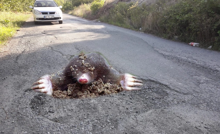 GEMLİK KURŞUNLU YOLLARI KÖSTEBEK YUVASI GİBİ OLDU