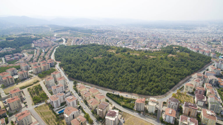 CUMHURİYETİMİZİN 100.YILINDA;  “O YIL BU YIL ,BU SENE O SENE”..!!