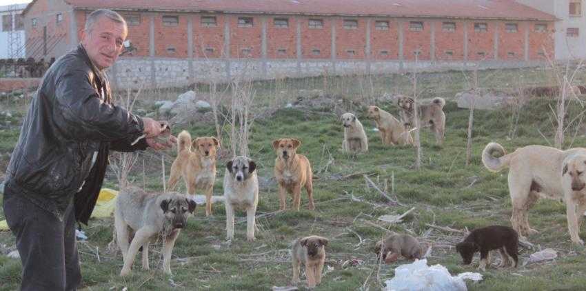 Hayvanların Aç Kalması Diğer Hayvanların Sağlığını Tehdit Ediyor!