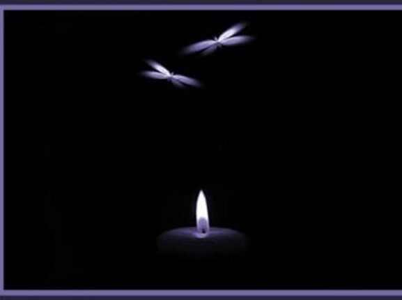 Ebru Öztürk yazdı; BİZİM HATAMIZ NE?