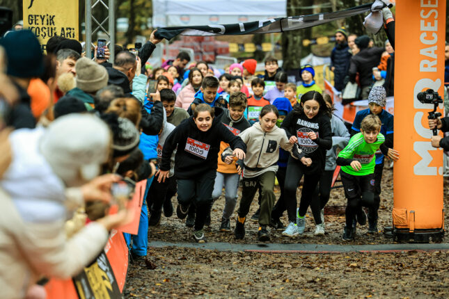 BELGRAD ORMANINI GEYİKLER BASTI!