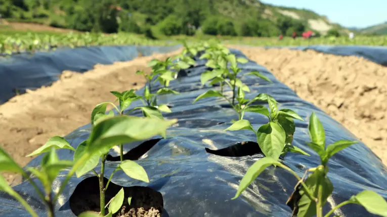 Ercan Özel; Çiftçilerin Emeklilik Sorunları Çözülmelidir!