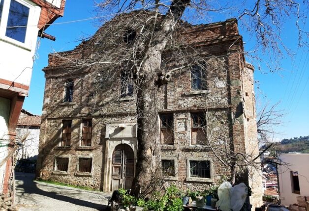 TİRİLYE’Yİ SEVENLERLE ,  TİRİLYE ÜZERİNE..!!