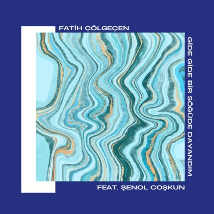 Fatih Çölgeçen’den Türkü Cover