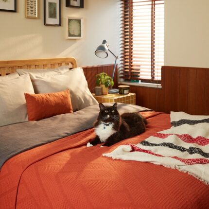 Schafer’dan Dikkat Çeken İmaj Filmi!