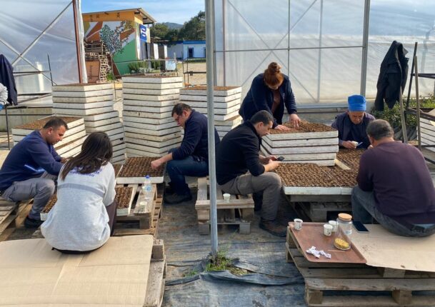 Belediyeden Atalık Tohum Ekimi   Yazlık Fideler İçin Üretim Devam Ediyor