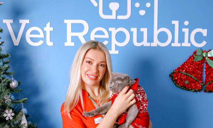 Veteriner Hekimden #KalptenKalbeSevgiyle “Askıda Mama” Kampanyası