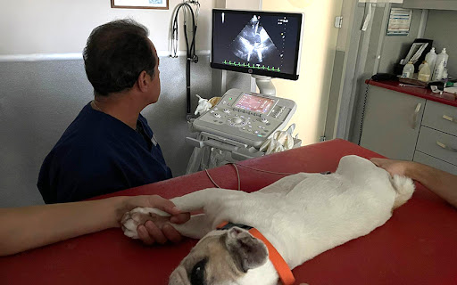 BVHO’dan Bursa’da Ultrasonografi eğitimi!