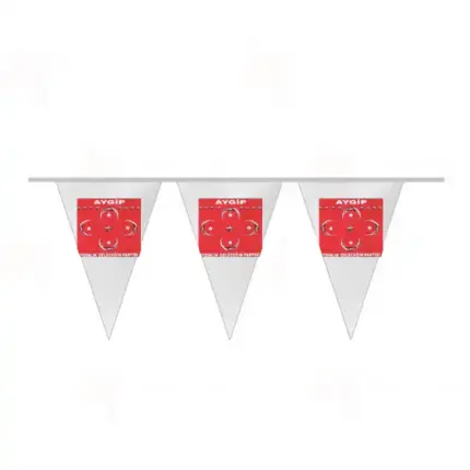 Ayhan Çolak; ” Büyükşehir’de Mevcut Belediye Başkanı Alinur Aktaş’ta Dahil Hiç Bir Adaya Destek Vermeyeceğiz!”