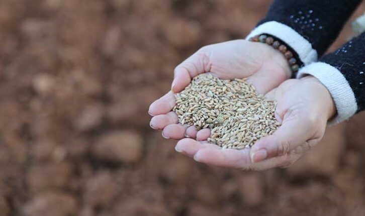 Tarımda Kalkınmanın Yolu Kooperatiflerden Geçiyor