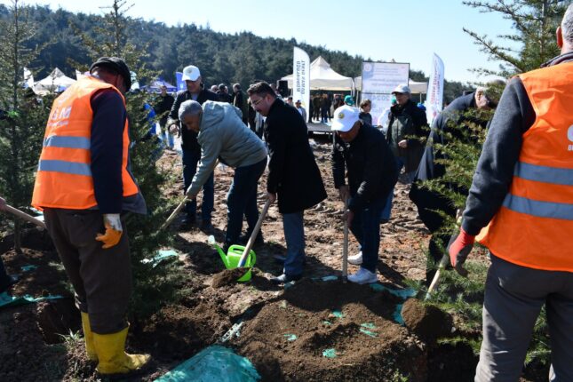Orman Haftasında çam ağacı diktiler