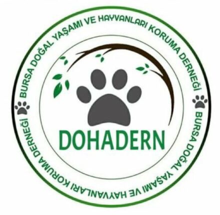DOHADERN; Katı Evsel Atıklardan Sokak Canlarına Mama Desteği Vicdani Sorumluluğun Gereğidir!