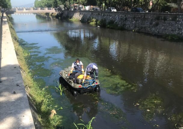 Şükrü Deviren’in girişimleriyle Gemlik’te ilaçlama başladı