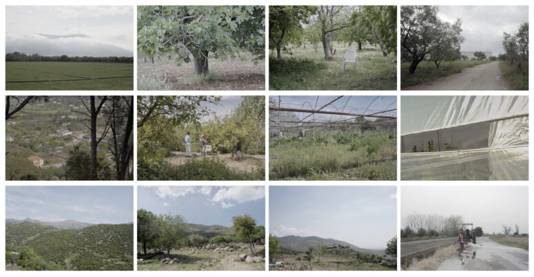 Toprağın, Suyun ve Havanın Hikâyelerini Buluşturan  “Mahsul Vakaları” Sergisi Bayetav Sanat’ta Açılıyor