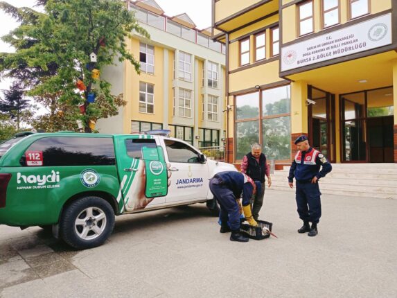 YARALI LEYLEĞE JANDARMA ŞEFKATİ