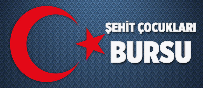 Şehit çocuklarına %100 burslu dil eğitimi