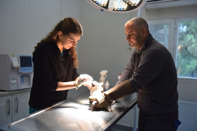 YILDIRIM’DA CAN DOSTLAR EMİN ELLERDE