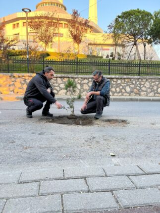 5 Aydır Asfaltlanmayan Yola Fidan Dikerek Protesto Etti…