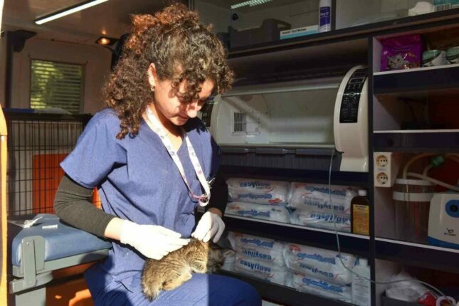 YILDIRIM’DA ‘CAN DOSTU’ AMBULANS