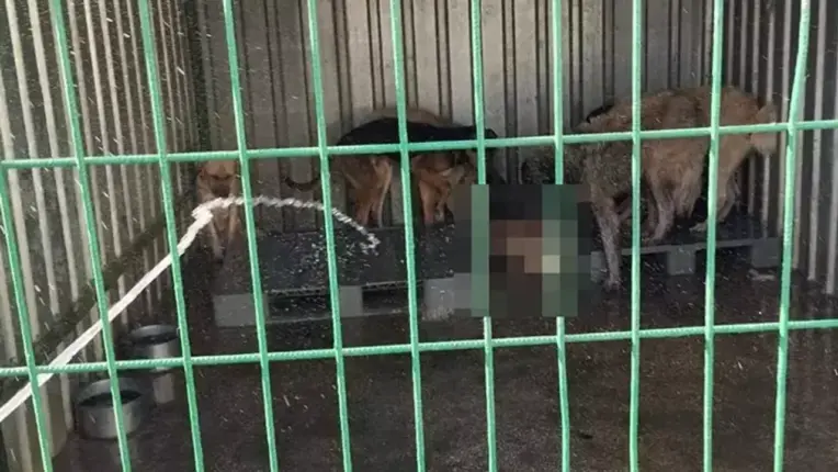 Onlar Konuştu! Gizli Gerçeği Ortaya Çıkardı!