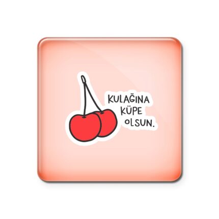 KULAĞINIZA KÜPE OLSUN:  KADINLAR İÇİN ŞİDDETLE MÜCADELEDE FARKINDALIK PROJESİ