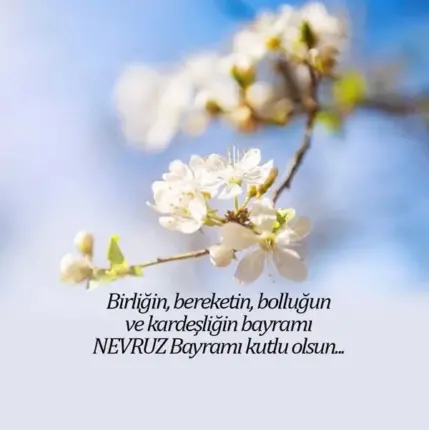 Ebru Öztürk yazdı; Hoş Geldin Nevruz…