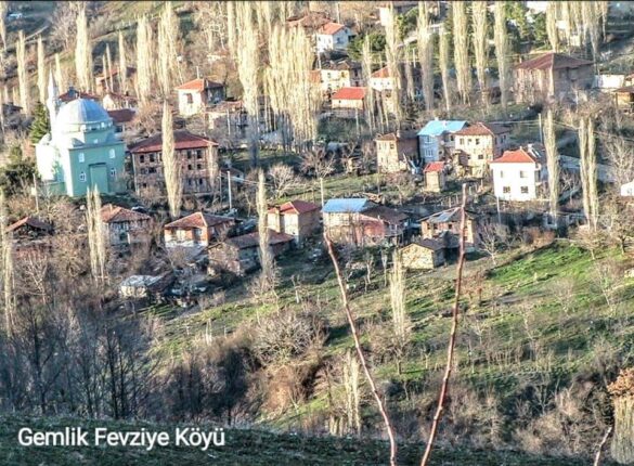 Gemlik Fevziye’de Artvin Rüzgarı! Protokol O Adreste Buluştu!