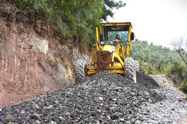 Gemlik’te Patili Canlar Yeni Yuvalarına Kavuşuyor