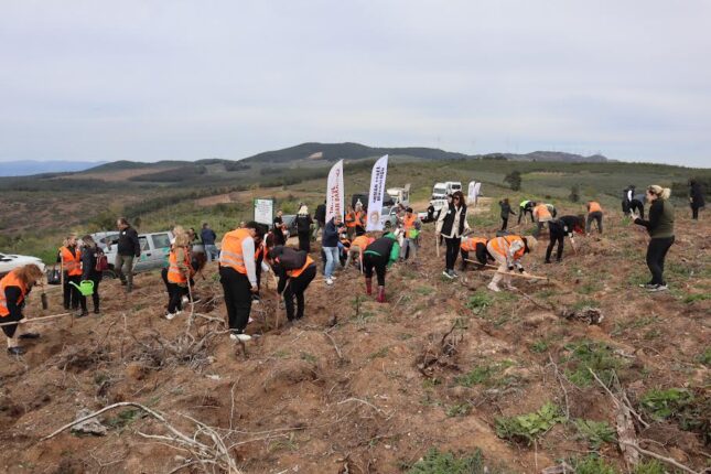 BUSADER’DEN 10 BİN AĞAÇLIK ORMAN PROJESİ