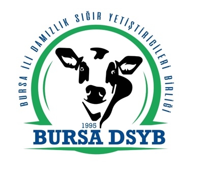 DSYB’ye KORKUSUZ Aday