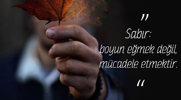 Erten Kayan Baba Dostlarını Dolaşıyor!