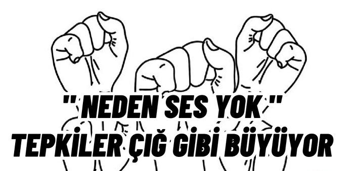 ” Neden Ses Yok “
