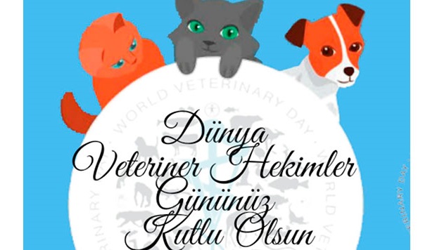 EKOL KOLEJİ’NDEN GELECEĞİN DUYARLI BİREYLERİNE ÖNEMLİ BİR BULUŞMA: DÜNYA VETERİNER HEKİMLER GÜNÜ’NDE ANLAMLI SÖYLEŞİ!
