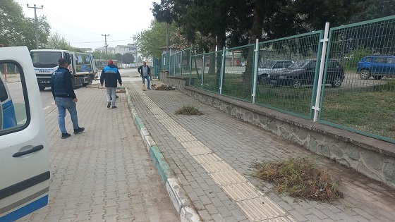 “Karacabey Belediyesi’nden yabani otlara karşı etkin mücadele”