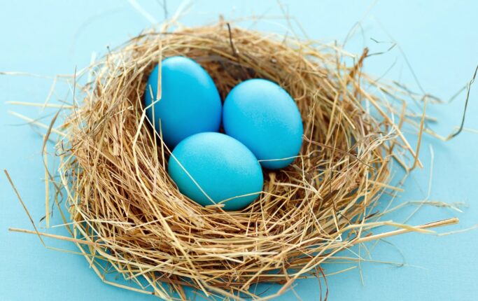 Yumurta Artık Sofrada Değil, Kuyrukta!